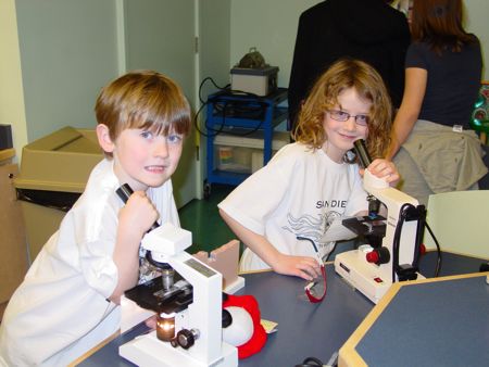 boys learning science at the Children's Museum Boys with microscopes