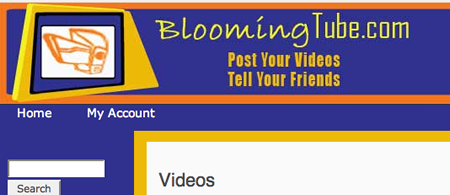 Bloomingtube.com